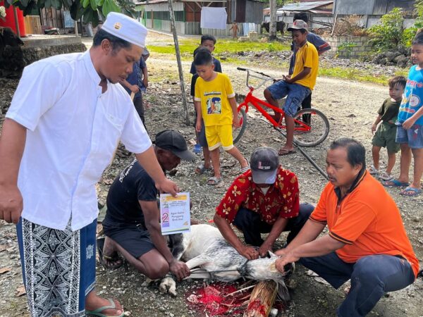 Galeri Idul Adha