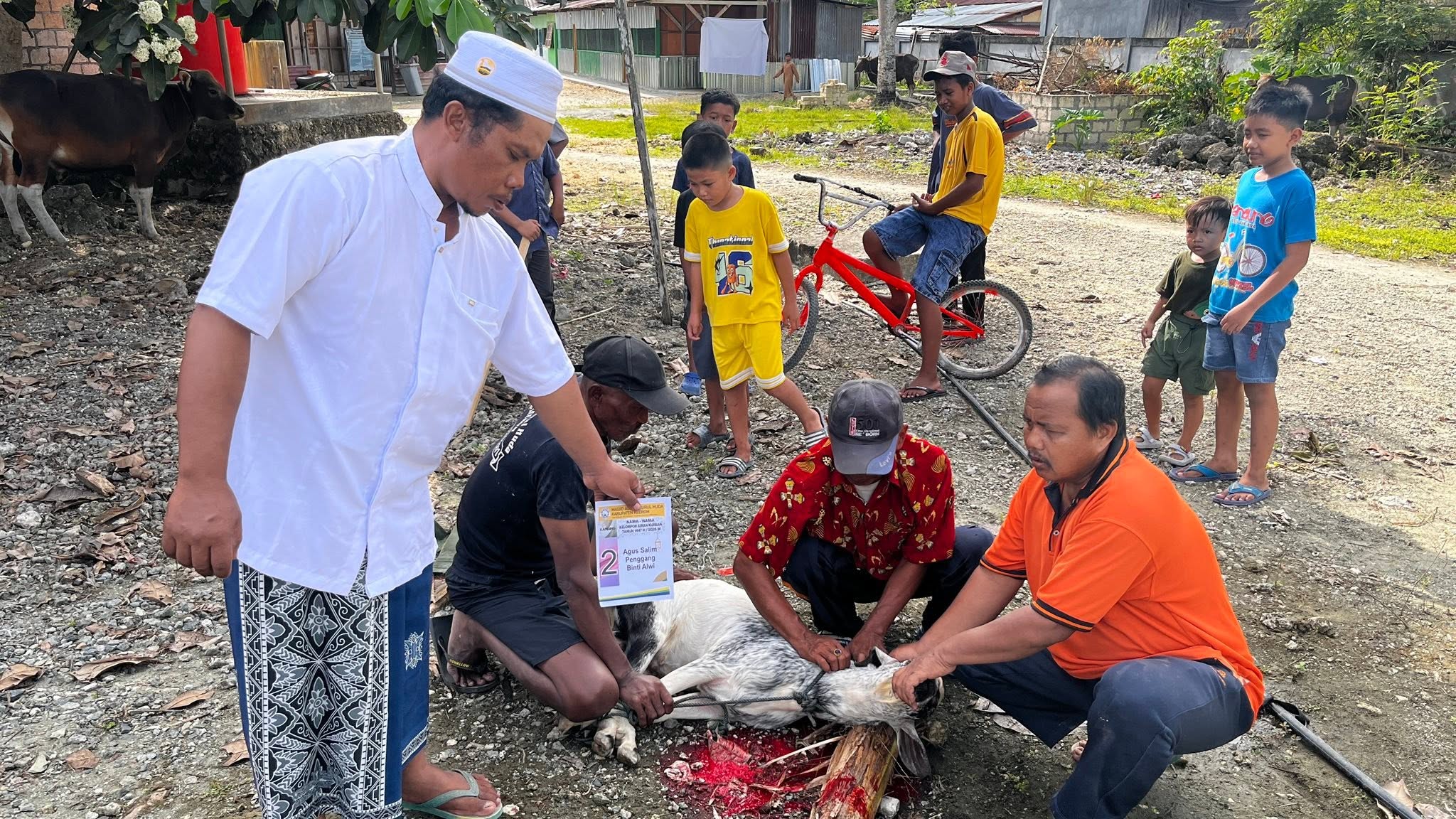 Galeri Idul Adha